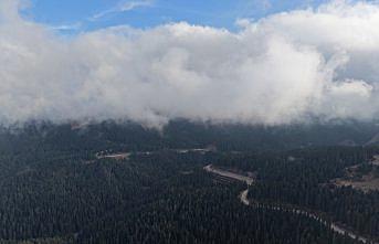Ilgaz'da çam ağaçlarıyla bütünleşen sis dron ile görüntülendi