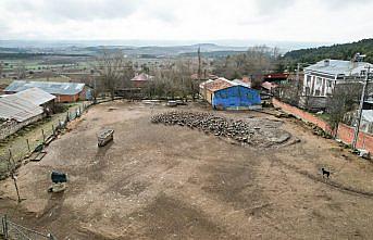 Köyüne dönüp başladığı kaz yetiştiriciliğinde 5 yılda 600 hayvana ulaştı