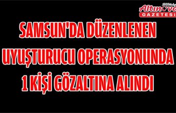 Samsun'da düzenlenen uyuşturucu operasyonunda 1 kişi gözaltına alındı