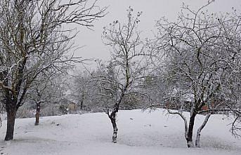 Samsun'un Asarcık ilçesine mevsimin ilk karı düştü