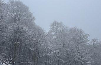 Tokat'ın yüksek kesimleri beyaza büründü