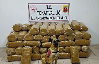 Tokat'ta 485 kilogram kaçak tütün ele geçirildi