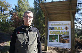 Uludağ eteklerinde oluşturulan bal ormanı arıcıları bekliyor