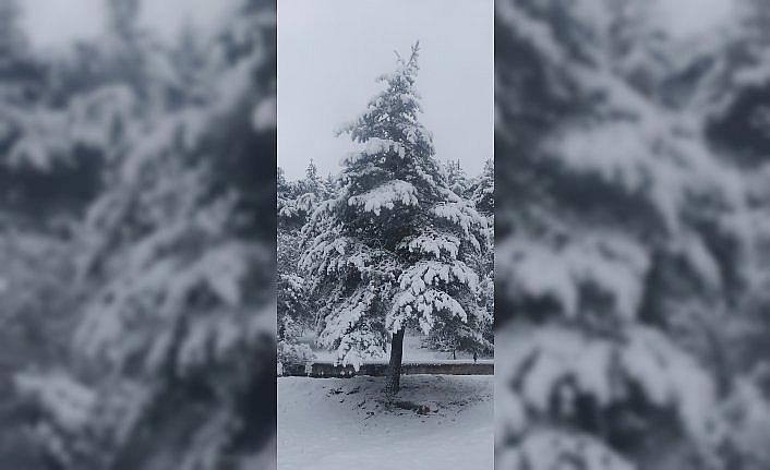 Yeşilyurt'ta kar yağışı etkili oldu
