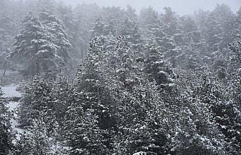 Zigana Dağı'nda kar etkili oldu