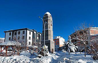 Başçiftlik ilçesinde kar yağışı etkisini sürdürüyor