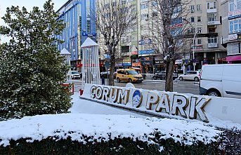 Çorum'da soğuk hava etkili oluyor