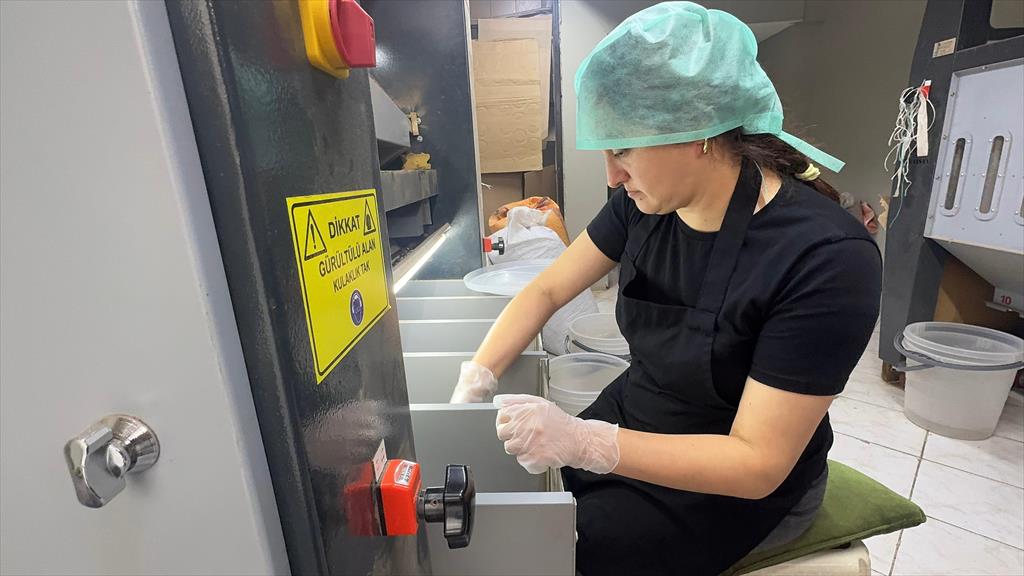 Giresunlu kadın girişimci devlet desteğiyle fındık işleme tesisi kurdu