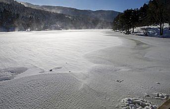 Gölcük Tabiat Parkı'ndaki gölün yüzeyi buzla kaplandı