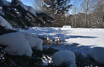 Gümüşhane, Rize ve Giresun'da 99 köye ulaşım sağlanamıyor