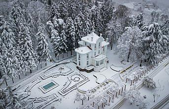 Gümüşhane'de yaban ve sokak hayvanları için doğaya yem bırakıldı