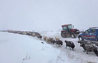 Artvin'de çığ düştü