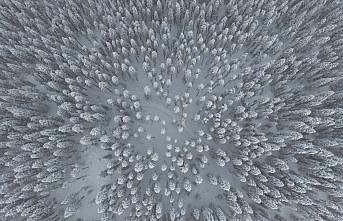 Ilgaz Dağı'nın karlı ormanları dron ile görüntülendi