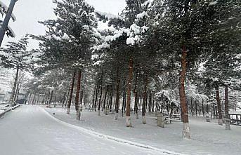 Kavak'ta kar yağışı etkili oldu