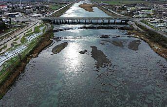 Kızılırmak'taki yaban ördeği yoğunluğu dronla görüntülendi