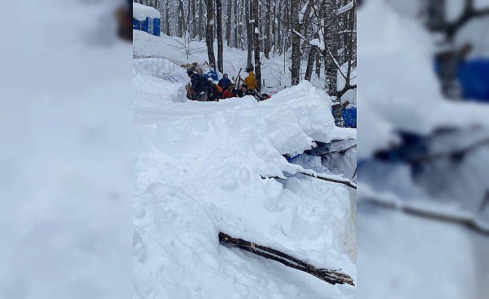 Ordu'da çatısı çöken ağıldaki 7 koyun telef oldu