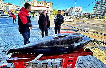 Samsun'da 353 kilogramlık orkinos 400 liradan satışa sunuldu