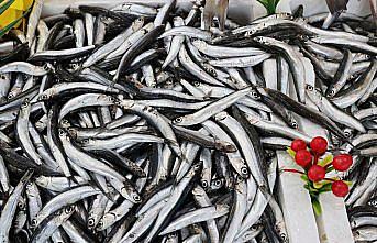 Samsun'da fırtına sonrası hamsiler tezgahlara geri döndü