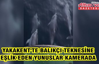Yakakent'te balıkçı teknesine eşlik eden yunuslar kamerada