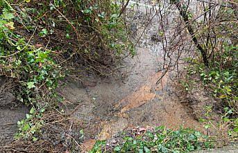 Zonguldak'ta 8 eve ulaşım sağlayan merdiven heyelan nedeniyle kullanıma kapatıldı