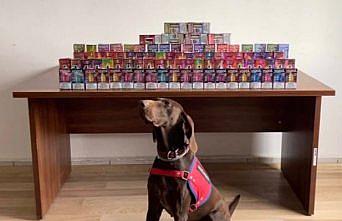 Bolu'da kaçak sigara operasyonunda 1 zanlı yakalandı