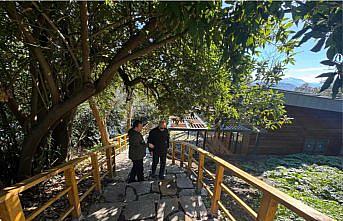 Giresun Valisi Koç, Giresun Adası'nda süren çalışmaları inceledi