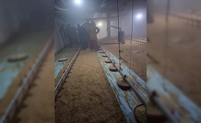 Göynük'te tavuk kümesinde çıkan yangın söndürüldü