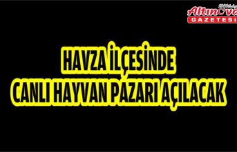 Havza ilçesinde canlı hayvan pazarı açılacak