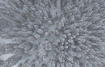 Kastamonu'nun yüksek kesimlerinde kar yağışı etkili oldu