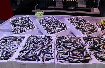 Rize'de istavritin kilogramı 100 liradan satışa sunuldu
