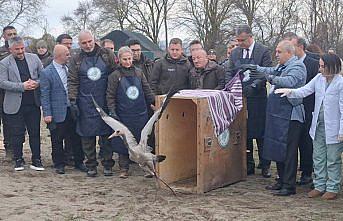 Samsun Kızılırmak Deltası'nda yaban hayvanları doğaya salındı