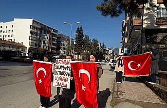 Tosya'da “Bayrağını selamlamak istiyorsan kornaya bas“ etkinliği düzenlendi