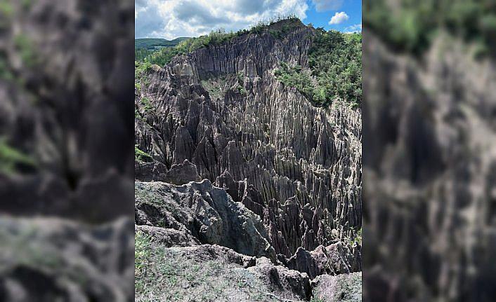 Türkiye'de korunan alan sayısı 692'ye yükseldi