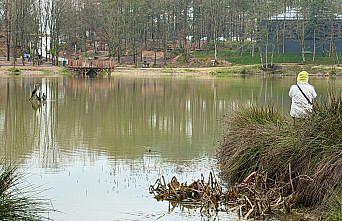 Yapılan yatırımlar Korugöl Tabiat Parkı'nı doğaseverlerin gözdesi haline getirdi