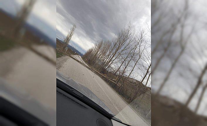 Yeşilyurt'ta şiddetli rüzgar nedeniyle yola devrilen ağaçları vatandaşlar kaldırdı