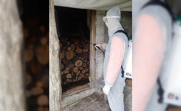 19 Mayıs'ta kahverengi kokarca ile mücadele çalışmaları devam ediyor