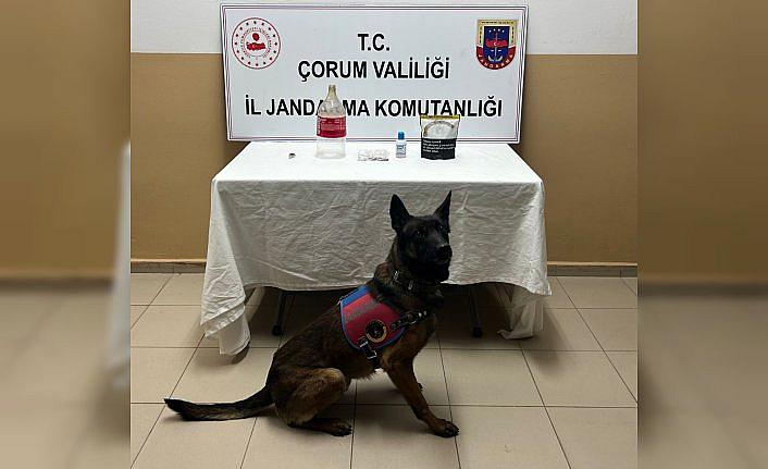 Alaca'da uyuşturucu operasyonunda 1 kişi yakalandı