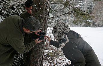 Bolu'da yaban hayvanları için doğaya yem bırakıldı