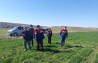 Çorum'da hububat ekili arazide kontrol çalışmaları sürüyor