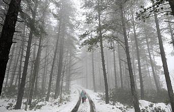 Düzce'nin yüksek kesimlerinde kar etkili oldu