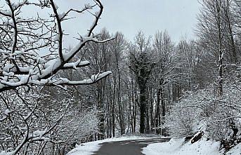 Gölyaka'nın yüksek kesimleri beyaz örtüyle kaplandı