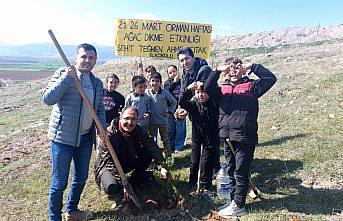 Gümüşhacıköy'de Orman Haftası'nda fidanlar toprakla buluşturuldu