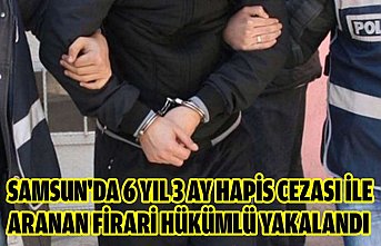 Samsun'da 6 yıl 3 ay hapis cezası ile aranan firari hükümlü yakalandı
