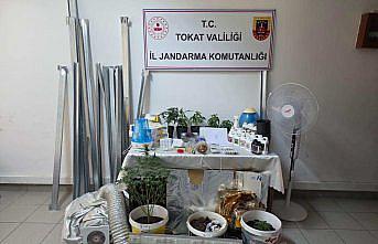 Tokat'ta apartman dairesinde kurulan serada kenevir yetiştiren zanlı tutuklandı