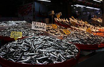 Trabzon'da balıkçı tezgahlarında hamsi ve istavrit ilgi görüyor