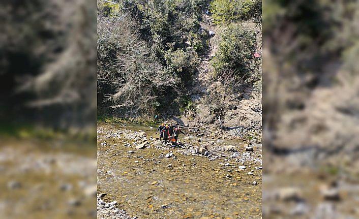 Zonguldak'ta defne yaprağı topladığı sırada yüksekten düşen kadın yaralandı