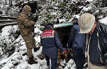 Zonguldak'ta ruhsatsız işletilen 10 maden ocağı imha edildi