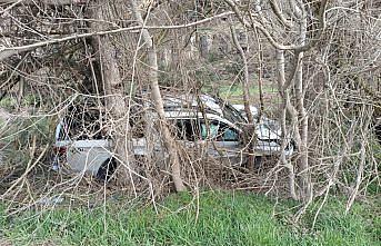 Bolu'da ağaca çarpan kamyonetin sürücüsü yaralandı