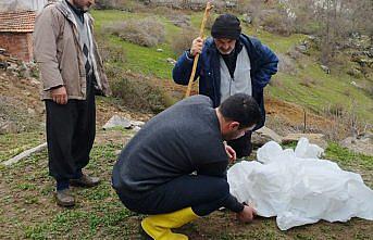 Göynücek'te şap hastalığına karşı bilgilendirme yapıldı