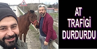 Ahırdan Kaçan At Trafiği Birbirine Kattı